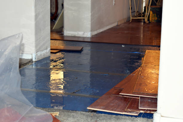 Professional Sewage Cleanup technician working in Janesville, WI